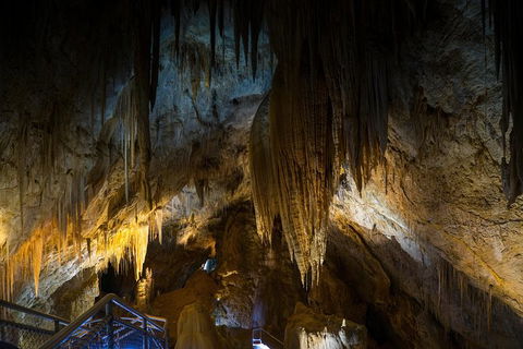 Small-group DayTour From Hobart: Hastings Caves, Huon Valley And Tahune AirWalk - Accommodation Mount Tamborine 19