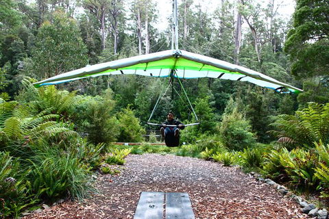 Small-group DayTour From Hobart: Hastings Caves, Huon Valley And Tahune AirWalk - Accommodation Mount Tamborine 10