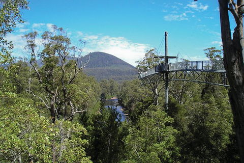 Small-group DayTour From Hobart: Hastings Caves, Huon Valley And Tahune AirWalk - Accommodation Mount Tamborine 9