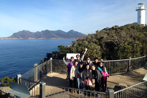 Full-Day Tour One-Way From Launceston To Hobart With Freycinet National Park - Accommodation Mount Tamborine 2