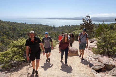 Full-Day Tour One-Way From Launceston To Hobart With Freycinet National Park - Accommodation Mount Tamborine 6