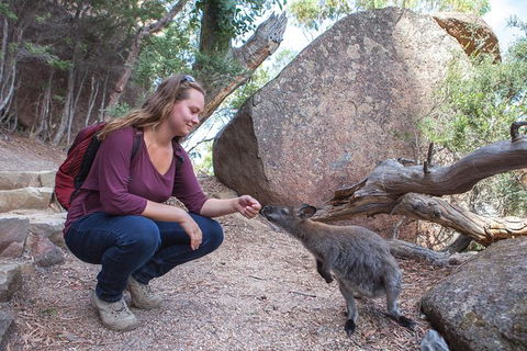 Full-Day Tour One-Way From Launceston To Hobart With Freycinet National Park - Accommodation Mount Tamborine 10