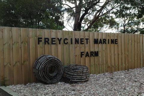Full-Day Tour One-Way From Launceston To Hobart With Freycinet National Park - Accommodation Mount Tamborine 8