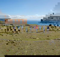 Maria Island Active Day Trip from Hobart - Accommodation Mount Tamborine