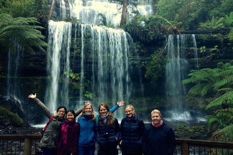 Mt Field National Park Active Day-Trip Including Bonorong And Mt Wellington - Accommodation Mount Tamborine 9