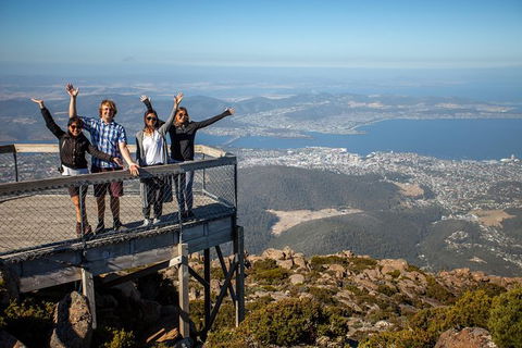 Mt Field National Park Active Day-Trip Including Bonorong And Mt Wellington - Accommodation Mount Tamborine 2