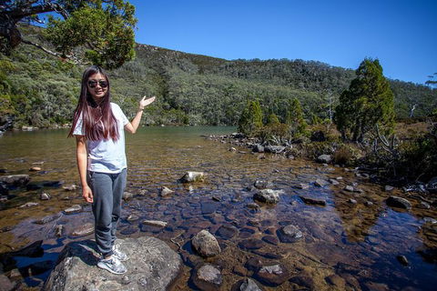 Mt Field National Park Active Day-Trip Including Bonorong And Mt Wellington - Accommodation Mount Tamborine 12