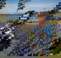 Port Arthur and Lavender Farm Active Day Tour - Accommodation Mount Tamborine