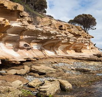 Maria Island premium private photo-oriented day tour from Hobart - Accommodation Mount Tamborine