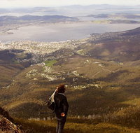 Mt Wellington Half Day Guided Summit Hike - Accommodation Mount Tamborine