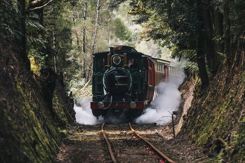 West Coast Wilderness Railway: River And Rainforest From Strahan - Accommodation Mount Tamborine 2