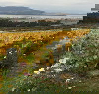 Mona and Wine Experience Tour