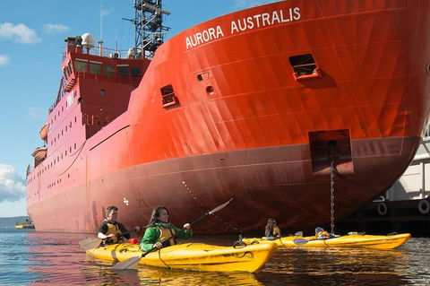 Hobart Kayak Tour - Accommodation Mount Tamborine 3