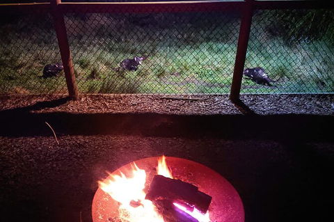 Sunset Experience - Accommodation Mount Tamborine 5