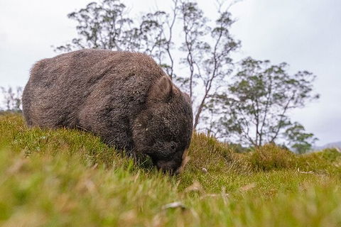 3-Day Cradle Mountain Photography Workshop - Accommodation Mount Tamborine 7