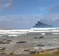 Private Bruny Island Nature Day Trip from Hobart - Accommodation Mount Tamborine