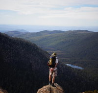 Mount Field National Park - Tarn Shelf  Russell Falls - Guided Hiking Tour - Accommodation Mount Tamborine