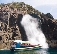Full-Day Bruny Island Tour from Hobart - Accommodation Mount Tamborine