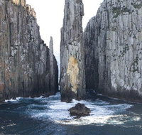 Day Trip to Tasman Peninsula and Port Arthur Historic Site from Hobart - Accommodation Mount Tamborine