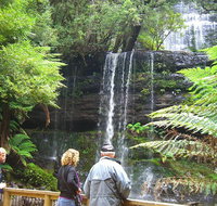 Mt Field National Park and Russell Falls from Hobart - Accommodation Mount Tamborine