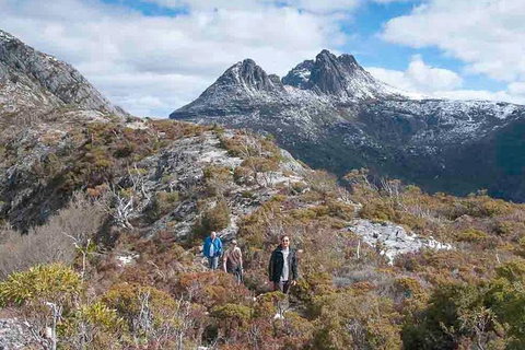 5-Day Tasmania West Coast Camping Tour: Hobart To Launceston Including Mount Field National Park, Tarkine And Cradle Mountain - Accommodation Mount Tamborine 0