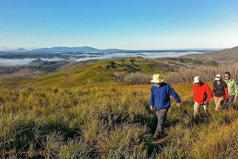 5-Day Tasmania West Coast Camping Tour: Hobart To Launceston Including Mount Field National Park, Tarkine And Cradle Mountain - Accommodation Mount Tamborine 1