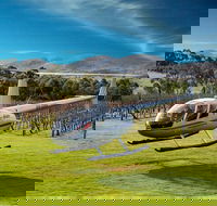 Frogmore Creek Winery by Helicopter with Lunch - Accommodation Mount Tamborine