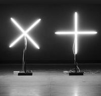 MONA Helicopter Transfer - Accommodation Mount Tamborine