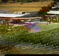 Home Hill Winery Helicopter Tour - Accommodation Mount Tamborine