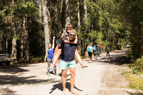 7-Day Best Of Tasmania Adventure Experience From Hobart (flexible Ticket) - Accommodation Mount Tamborine 5