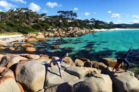 4-Day Tasmania East Coast Adventure From Launceston To Hobart Including Bay Of Fires, Wineglass Bay, Bruny Island And Port Arthu - Accommodation Mount Tamborine 0