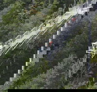 Cruise Ship Special from Hobart Mt Wellington and Tahune AirWalk - Accommodation Mount Tamborine