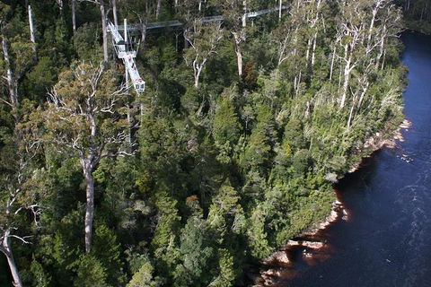Cruise Ship Special From Hobart: Mt Wellington And Tahune AirWalk - Accommodation Mount Tamborine 1