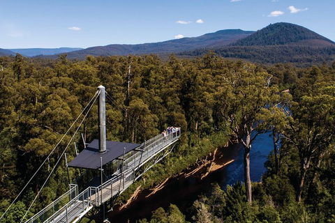 Cruise Ship Special From Hobart: Mt Wellington And Tahune AirWalk - Accommodation Mount Tamborine 6