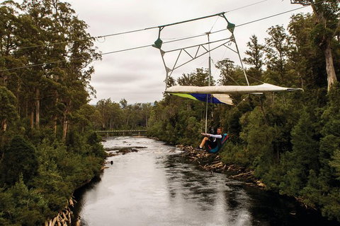 Cruise Ship Special From Hobart: Mt Wellington And Tahune AirWalk - Accommodation Mount Tamborine 3