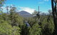 Cruise Ship Special From Hobart: Mt Wellington And Tahune AirWalk - thumb 4