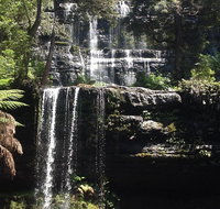 Private Mt Field National Park Day Trip from Hobart Including Salmon Ponds and Bonorong Wildlife Sanctuary - Accommodation Mount Tamborine