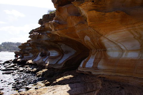 Maria Island National Park - Day Walk And Picnic Lunch - Accommodation Mount Tamborine 17