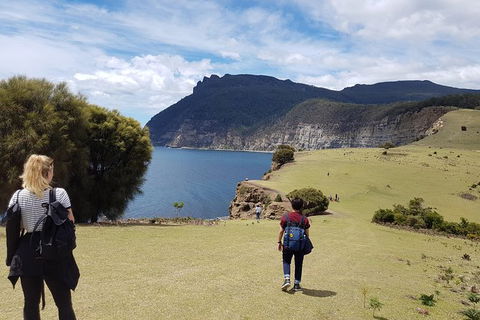 Maria Island National Park - Day Walk And Picnic Lunch - Accommodation Mount Tamborine 6