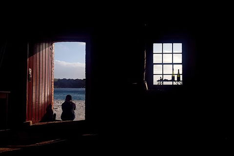 Maria Island National Park - Day Walk And Picnic Lunch - Accommodation Mount Tamborine 15