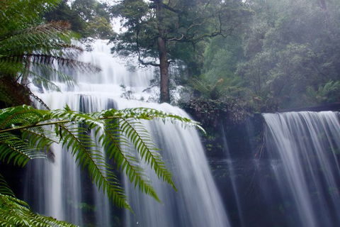 Mt. Field National Park And Bonorong Wildlife Park - Accommodation Mount Tamborine 1