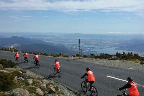 Mount Wellington Descent Cycling Tour Departs Hobart - Accommodation Mount Tamborine 7