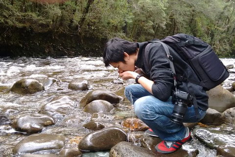 3 Day Tasmanian Wild West Coast Tour From Hobart To Launceston - Accommodation Mount Tamborine 6