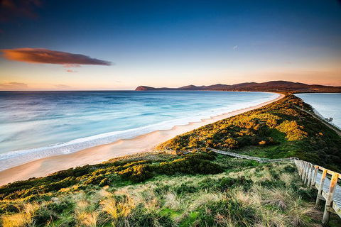 Full-Day Guided Bruny Island Tour From Hobart - Accommodation Mount Tamborine 0