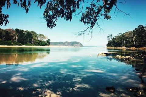 Full-Day Guided Bruny Island Tour From Hobart - Accommodation Mount Tamborine 4