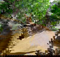 Wilderness and Wildlife