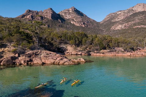 The Freycinet Paddle - Accommodation Mount Tamborine 1