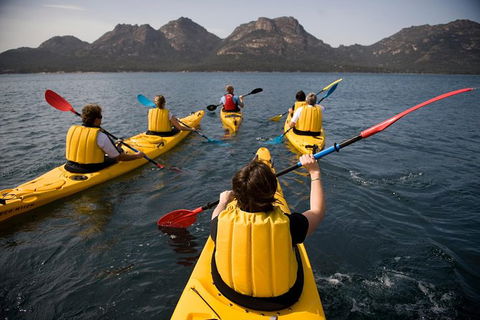 The Freycinet Paddle - Accommodation Mount Tamborine 5
