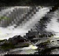 Mt Field National Park premium private photo-oriented day tour from Hobart