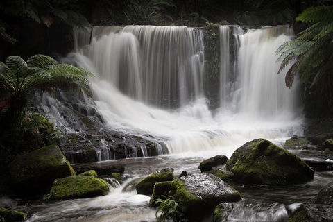 Mt Field National Park Premium Private Photo-oriented Day Tour From Hobart - Accommodation Mount Tamborine 0
